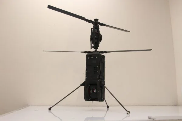 RAFAELS-_SPIKE-FIREFLY-600x400