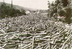 logjam