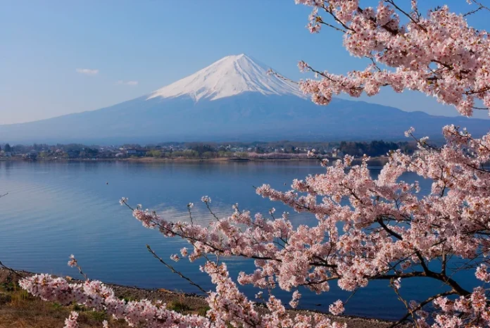 Japan_Mount-Fuji-and-cherry-blossom